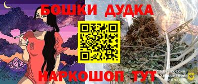 2c-b Кингисепп